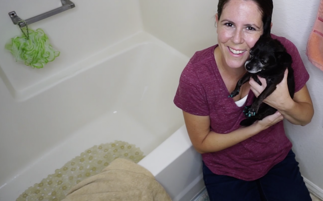 Peticularly Perfect Presents: Doggie Bath Time!